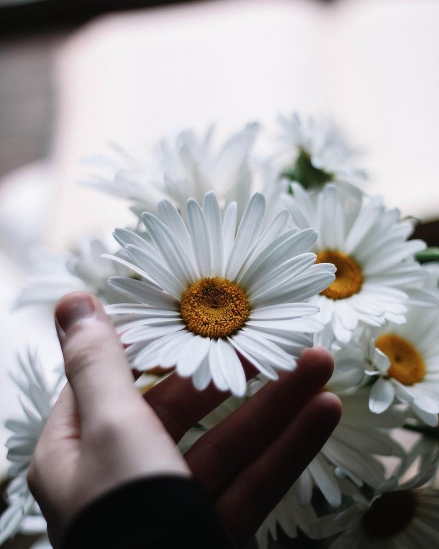 Цените жизнь! Она прекрасна!