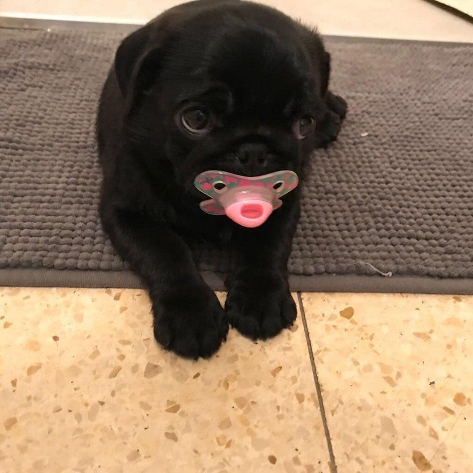 Маленькие очаровашки - 6