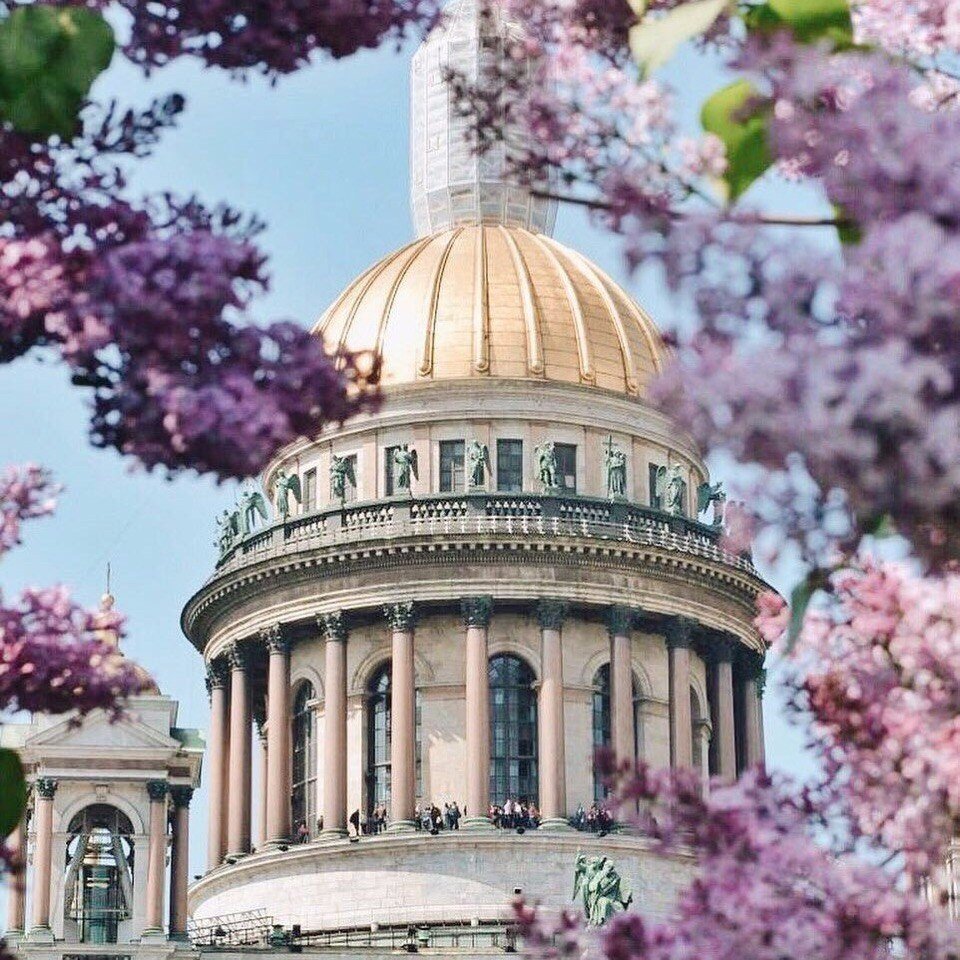 Яркий летний Питер - 8