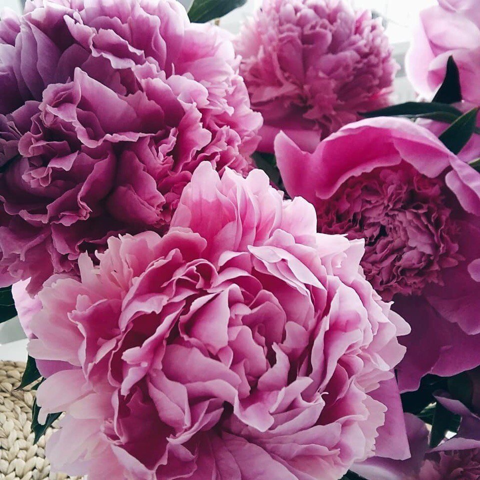 У нас одна обязанность — быть счастливыми.