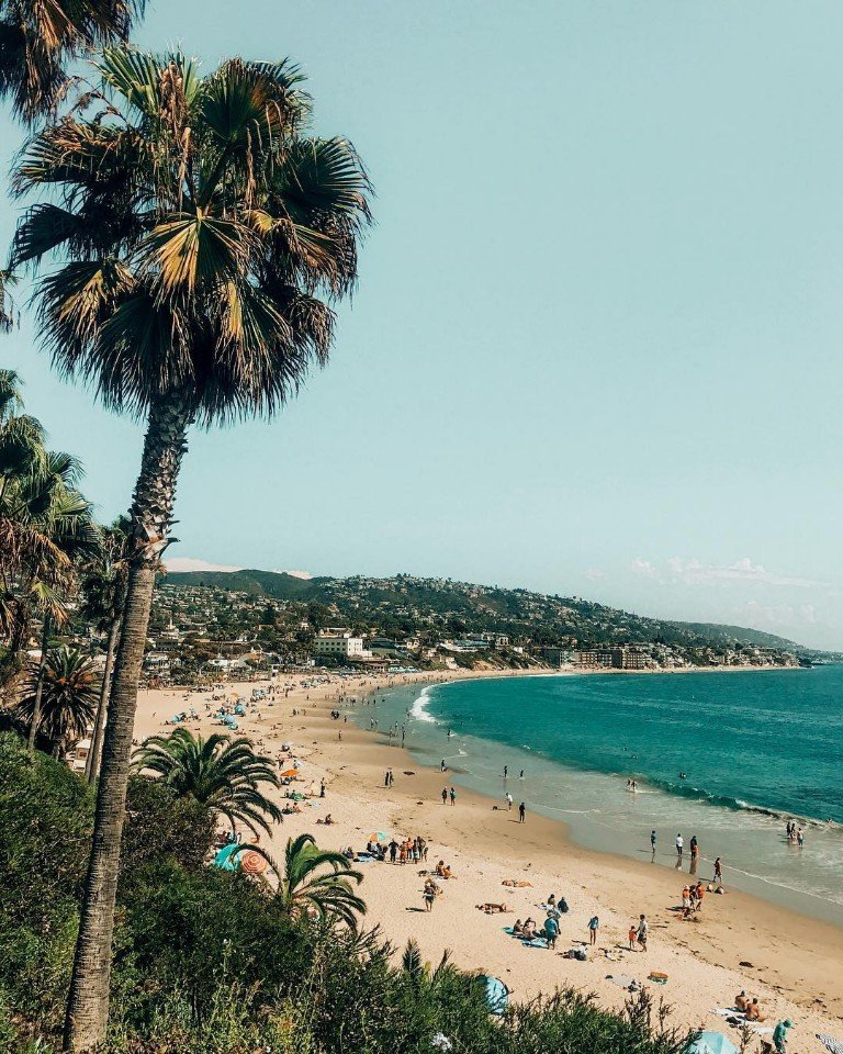 Оттенки калифорнийского лета - 5