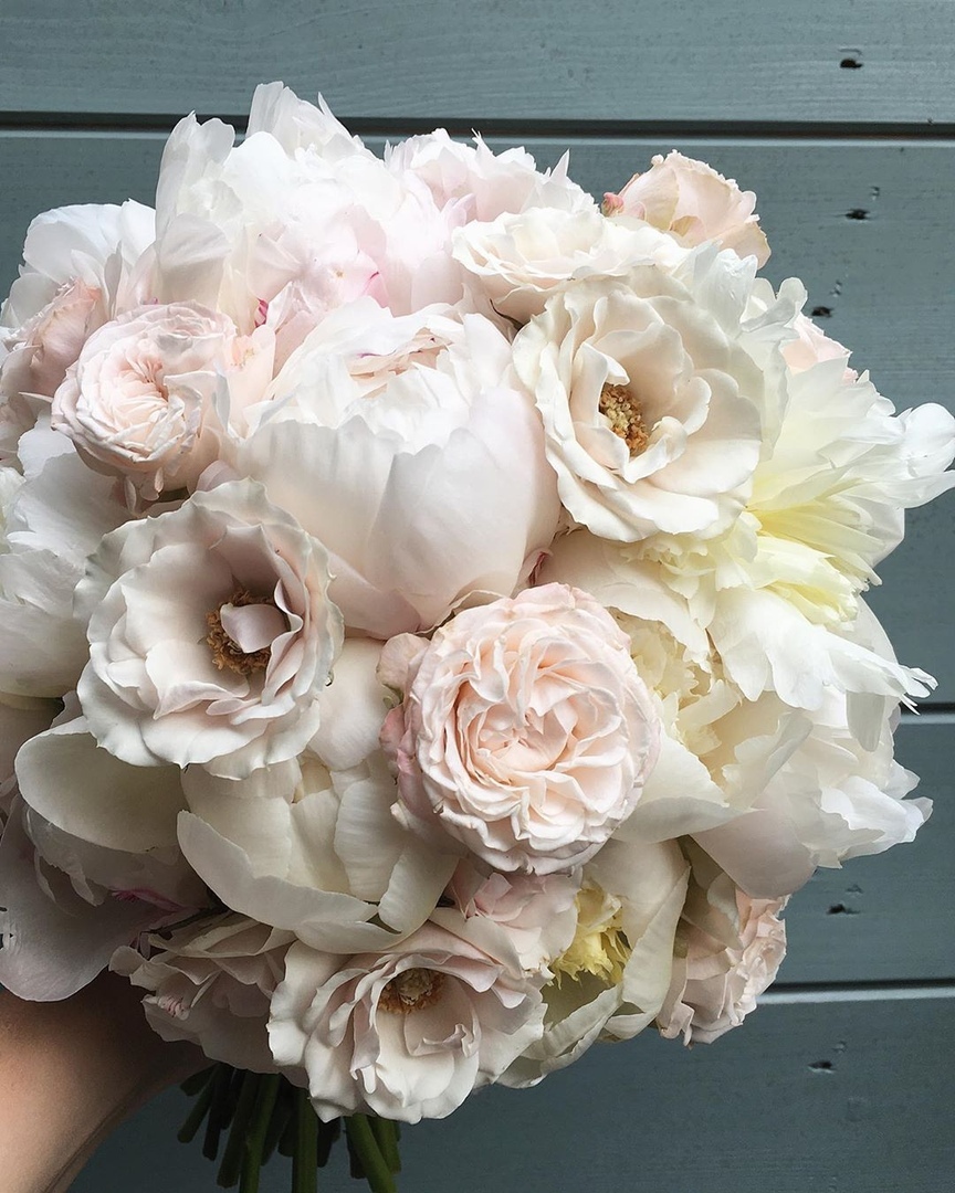 Пожалуйста, приложите к моей душе пионы