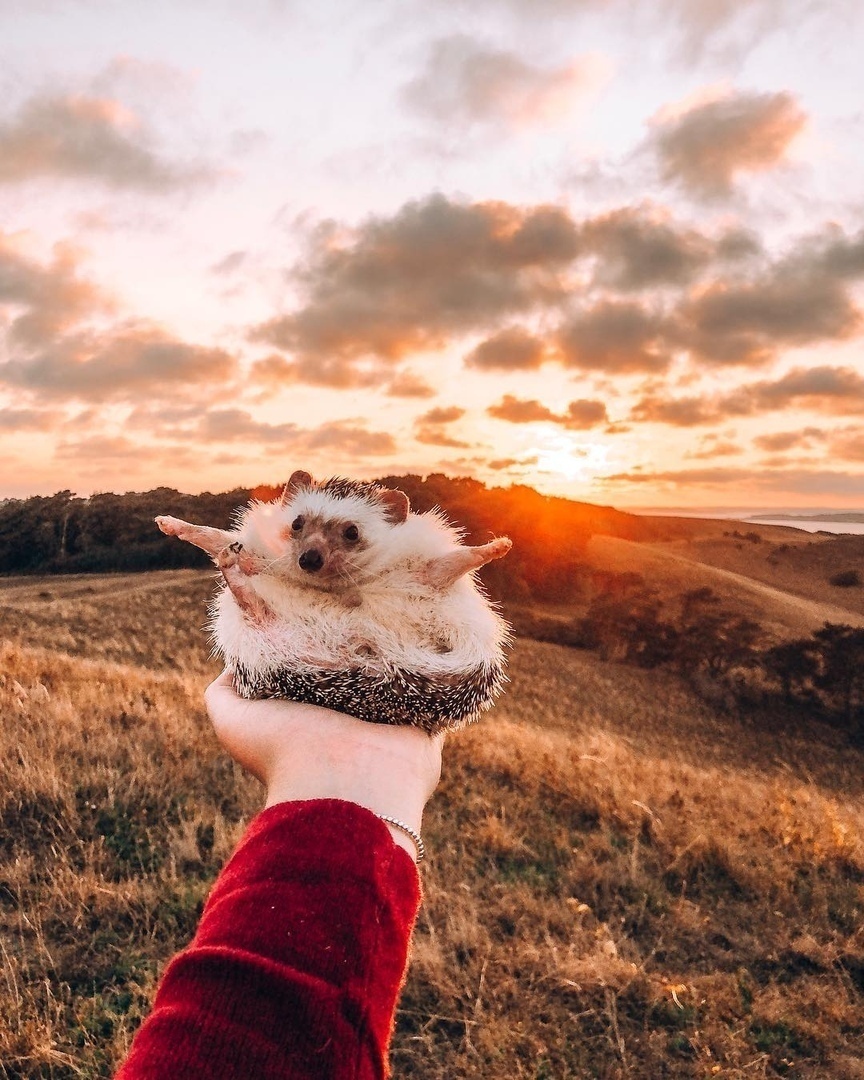 — А cегодня чтo? 
— A ceгодня — лeтo. - 5