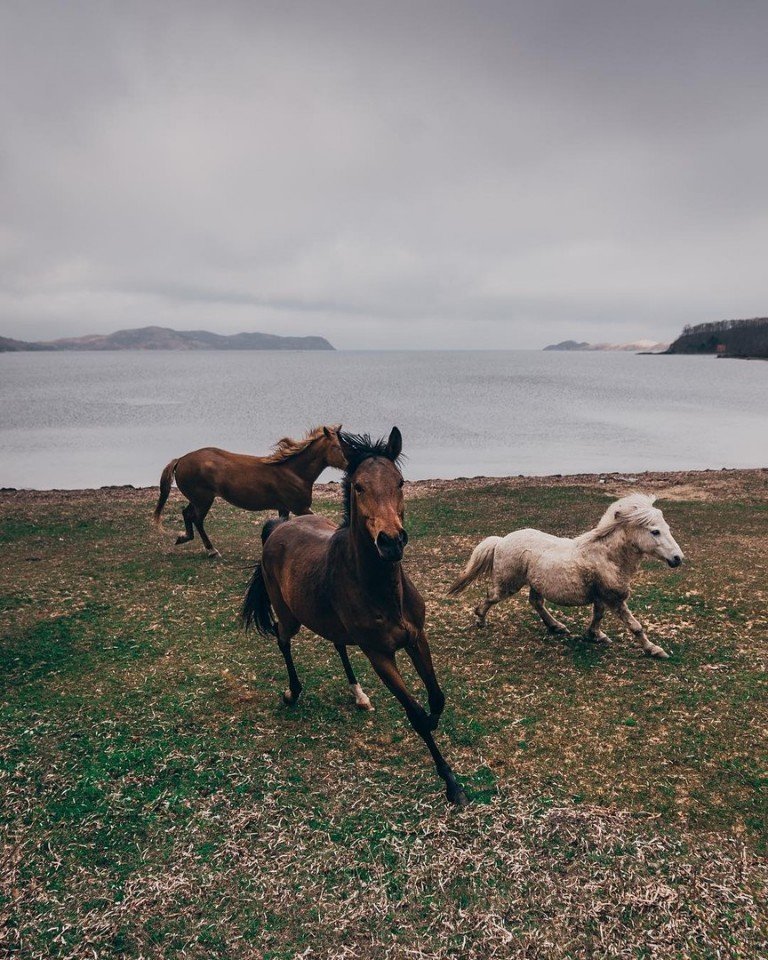Владивосток - это глоток свободы