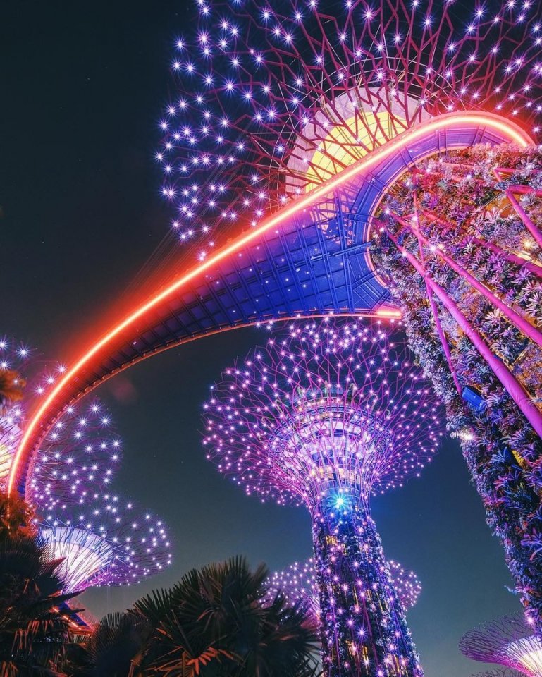 Сады у залива в Сингапуре