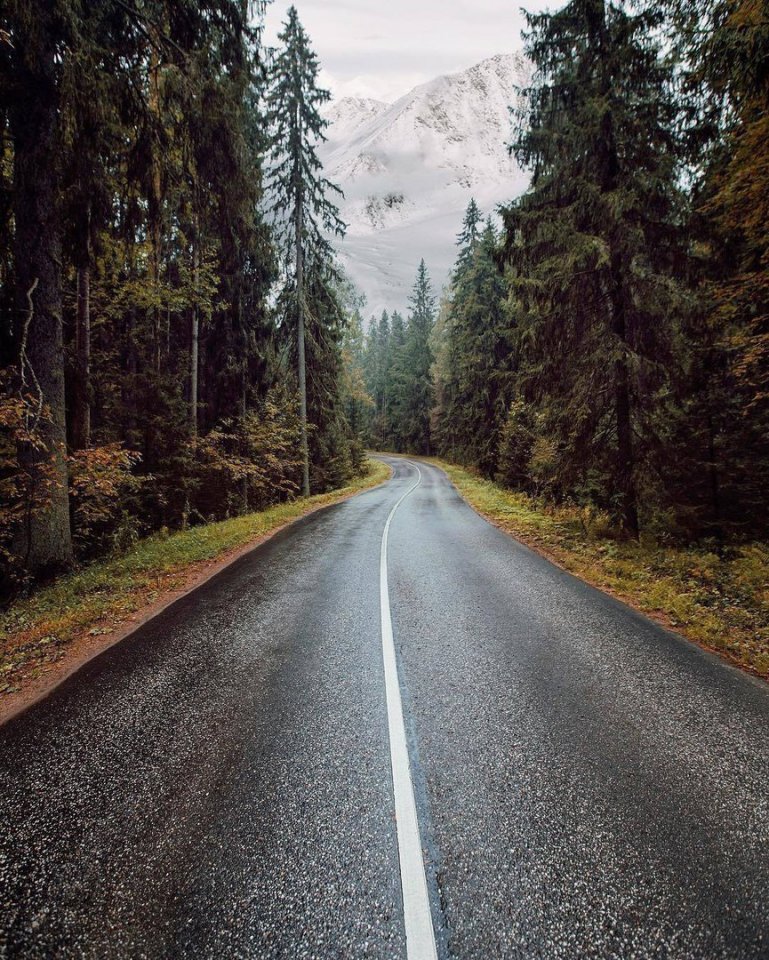 Бросить всё и уехать на Алтай