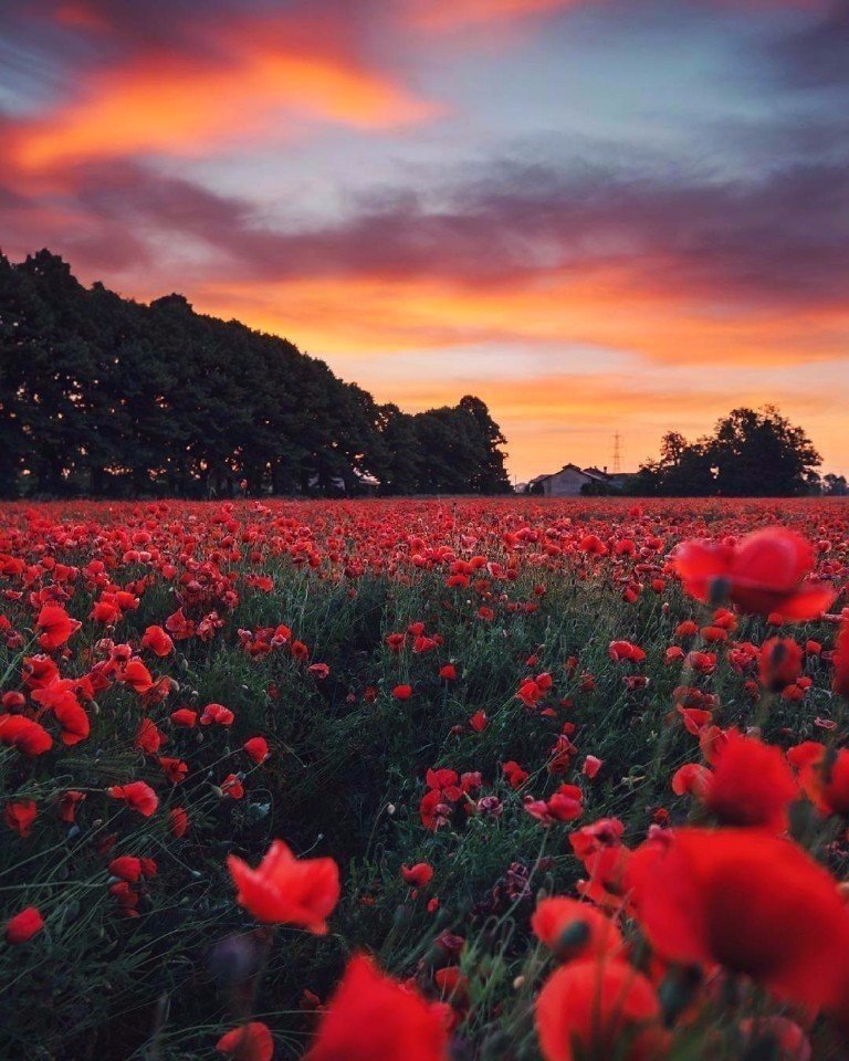 Дело не в том, чтобы в жизни было больше дней, а в том, чтобы в днях было больше жизни.
