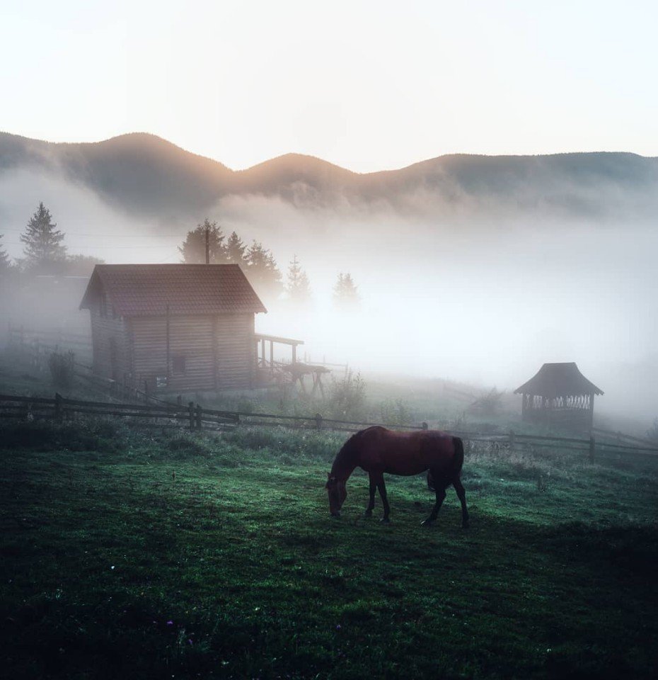 Карпаты - это вдохновение в чистом виде - 7