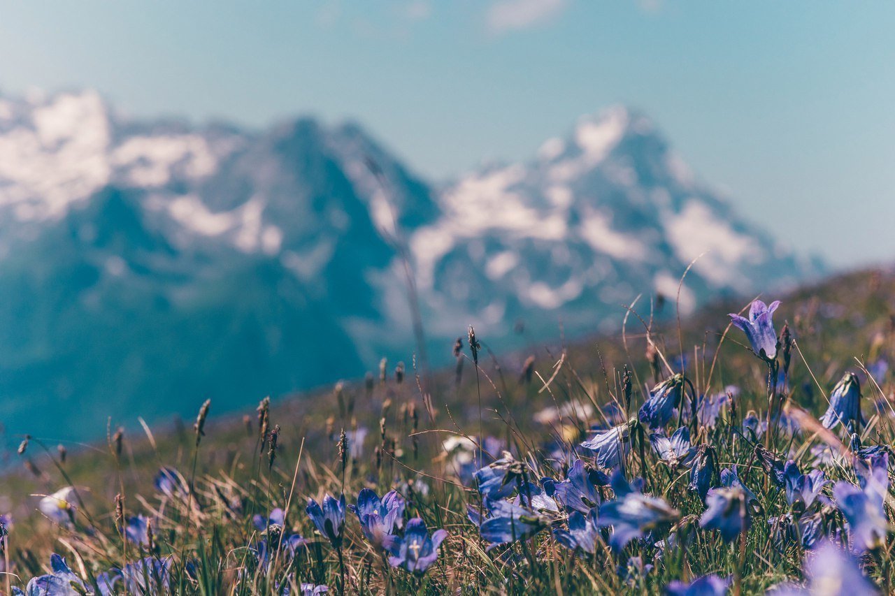 Невероятная природа Архыза, Карачаево-Черкесия - 6