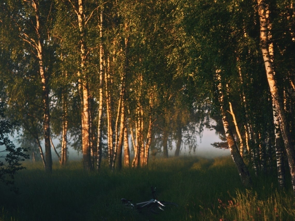 Только став взрослым, понимаешь, что готов променять все дорогие курорты мира на пару недель у бабушки в деревне... - 8