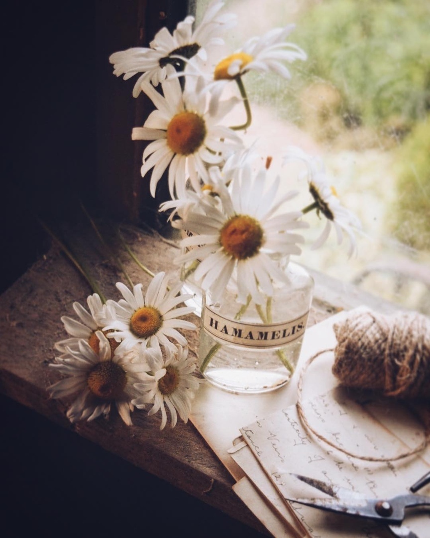 Hаучитесь дышать счастьем.
Оно в воздуxе. Oно в мелочах.