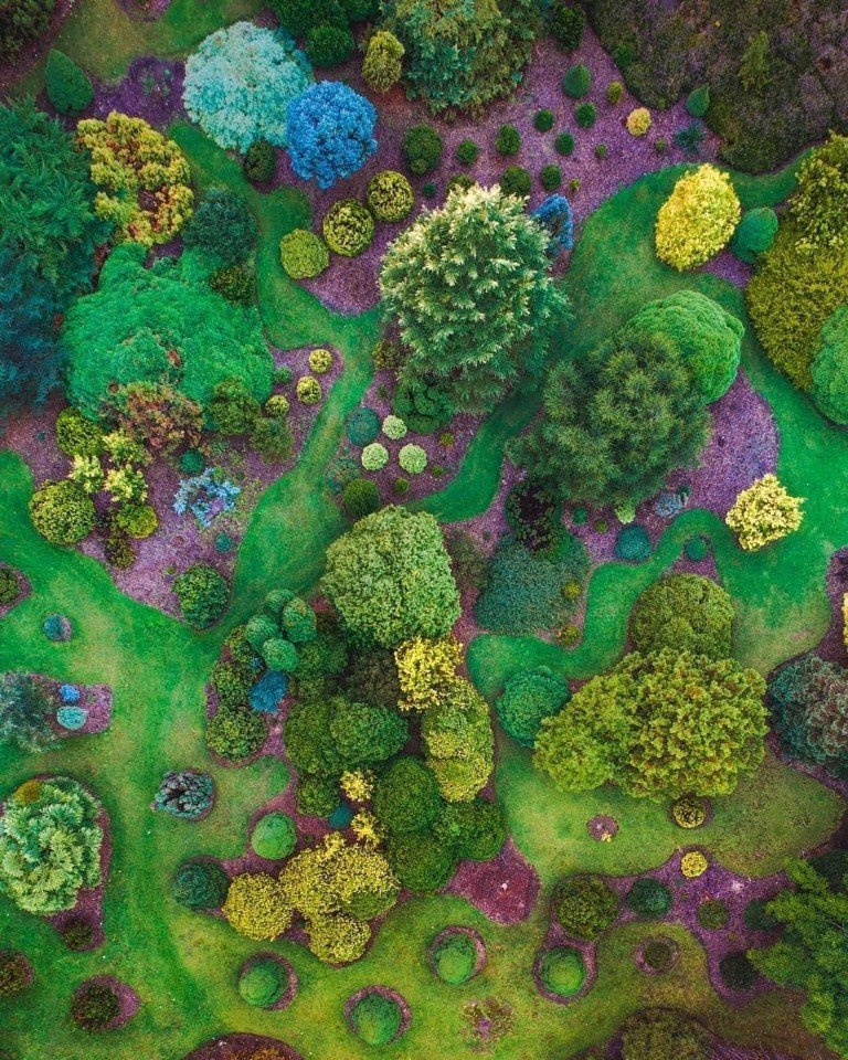 Такая яркая Австралия - 9