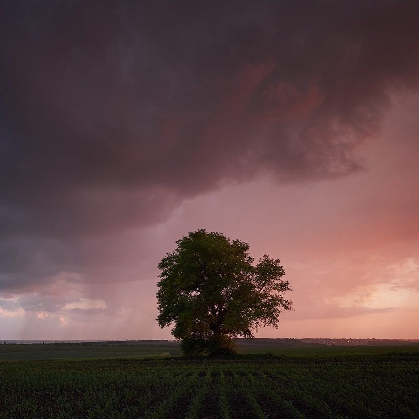 Прекрасные родные просторы - 8
