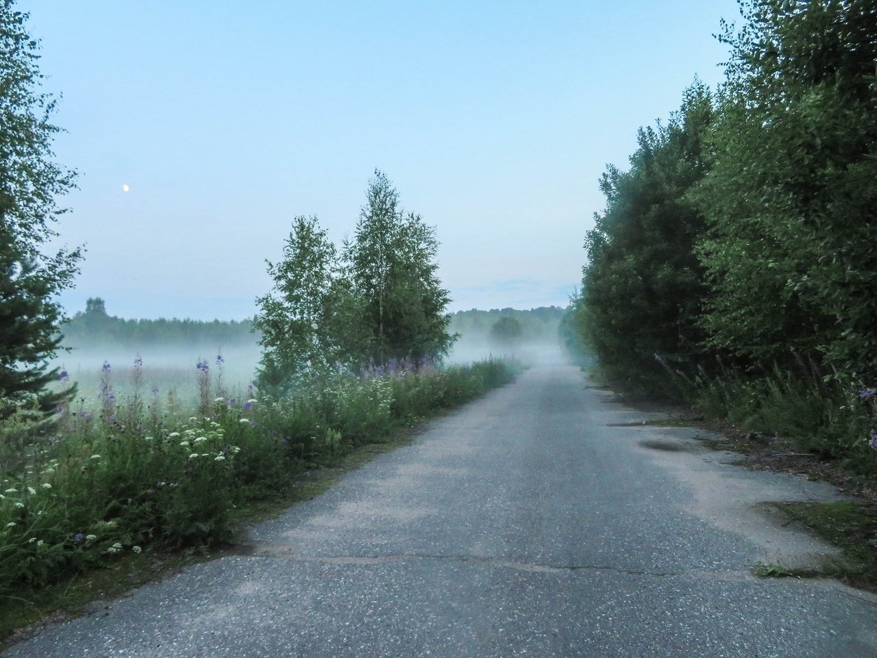 Туманная тишина Тверской области, Россия - 7