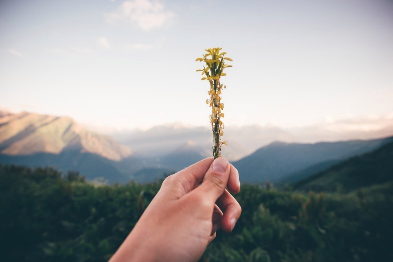 Невероятная природа Архыза, Карачаево-Черкесия - 2