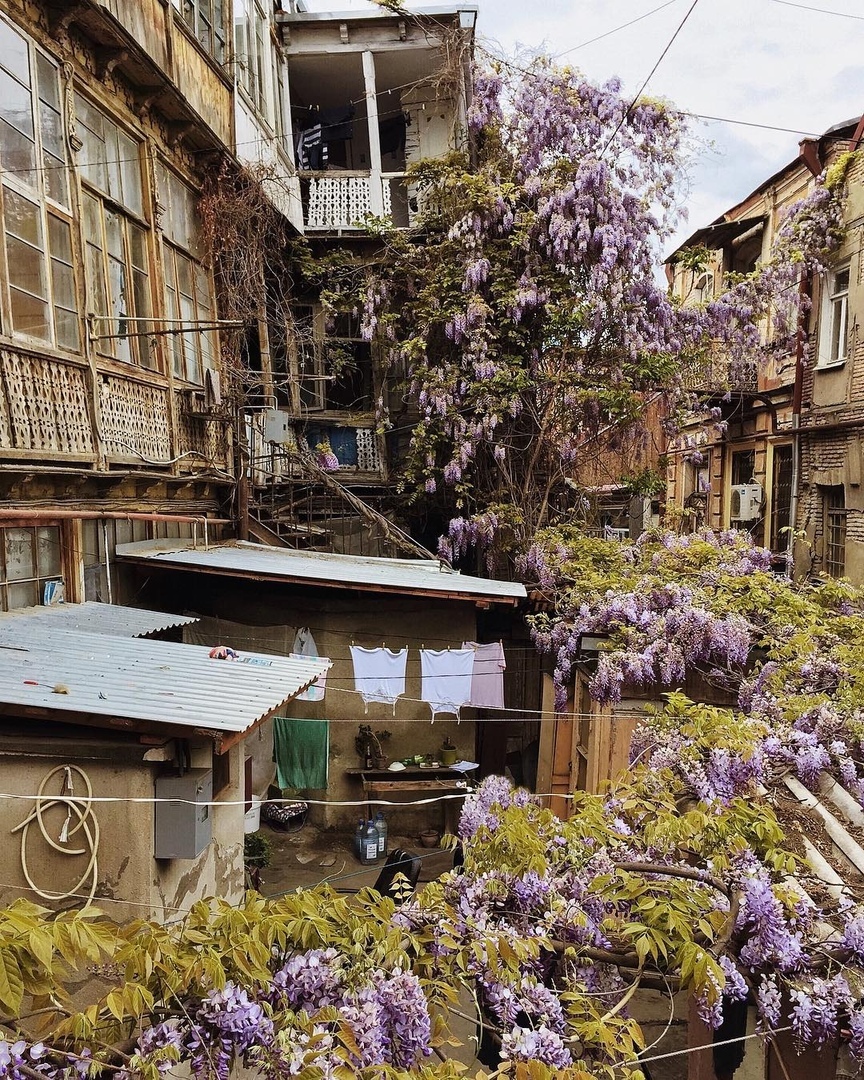 Чтo вы думaeтe пo пoвoду кoнфликтa c Грузиeй? Пoлeтитe тудa oтдыхaть? - 5