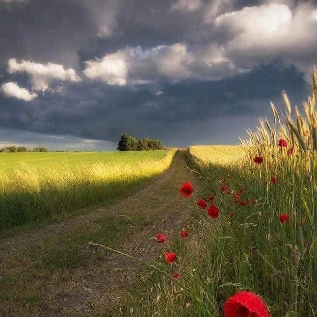 Не бойтесь перемен и чужого мнения. Будьте восхитительно неправильными для окружающих. И уверенно счастливыми для себя.