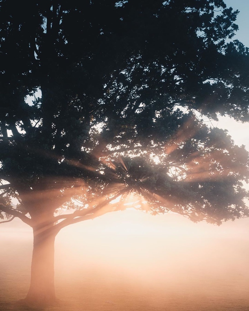 Волшебное утро в Великобритании