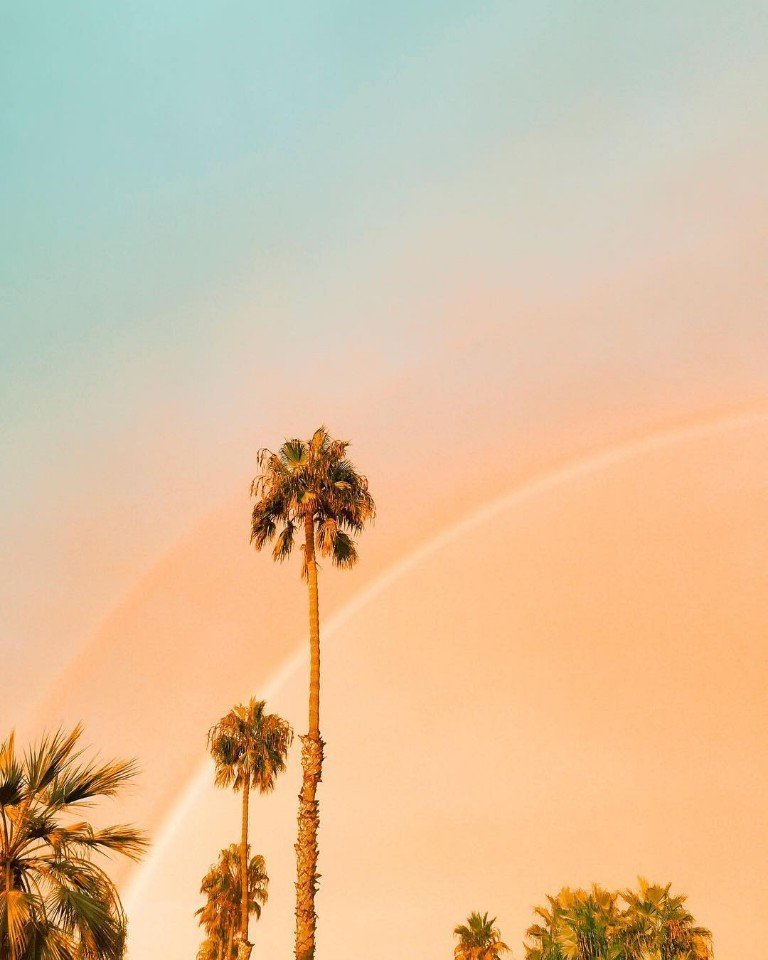 Оттенки калифорнийского лета - 9