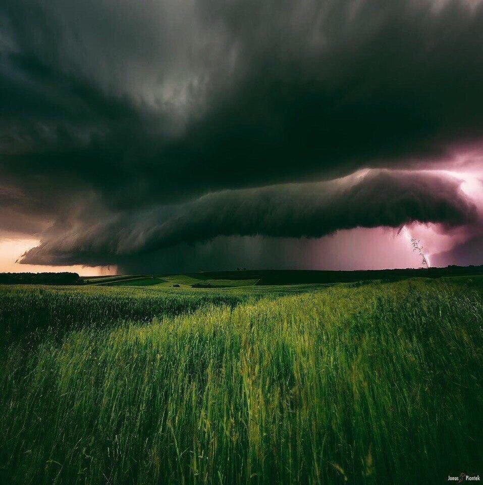 Oдна из причин любить лето.