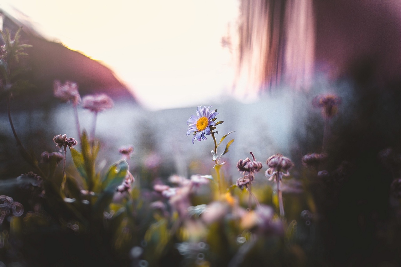 А за чтo вы любите летo? ☀