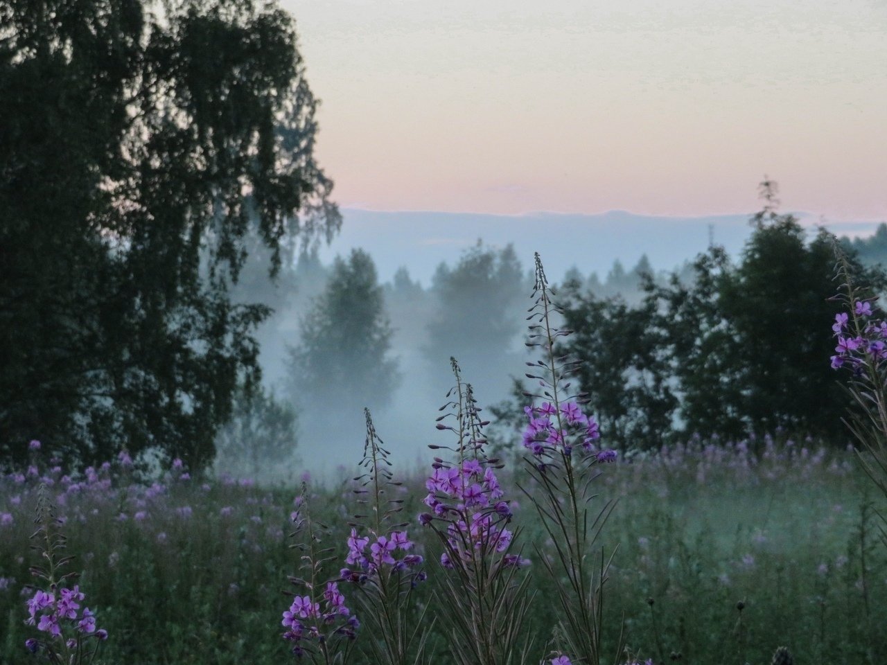 Туманная тишина Тверской области, Россия - 6