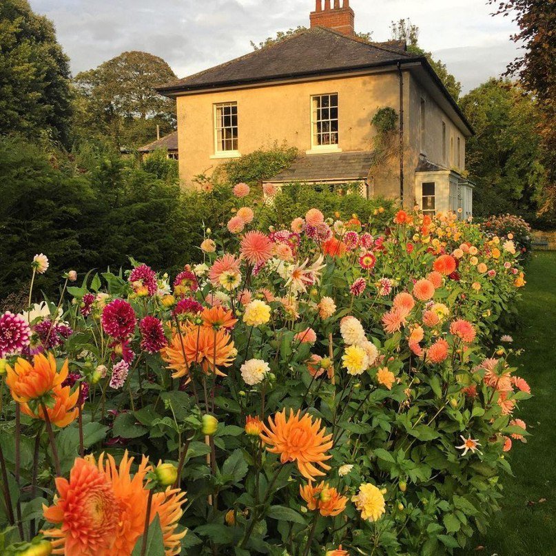 Британия? Да, пожалуйста! - 7