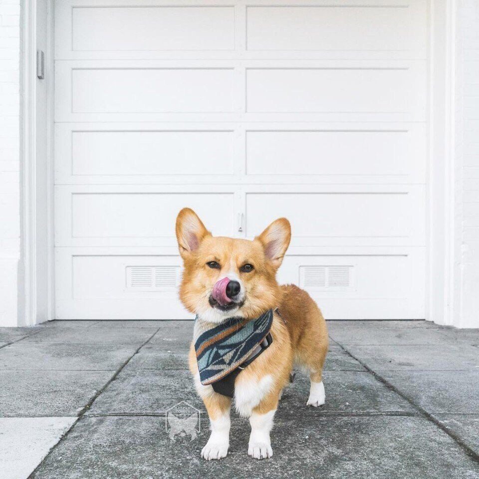 Мир принадлежит тому, кто ему рад! - 4