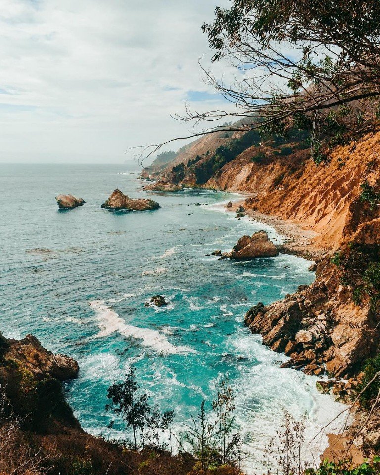 Оттенки калифорнийского лета