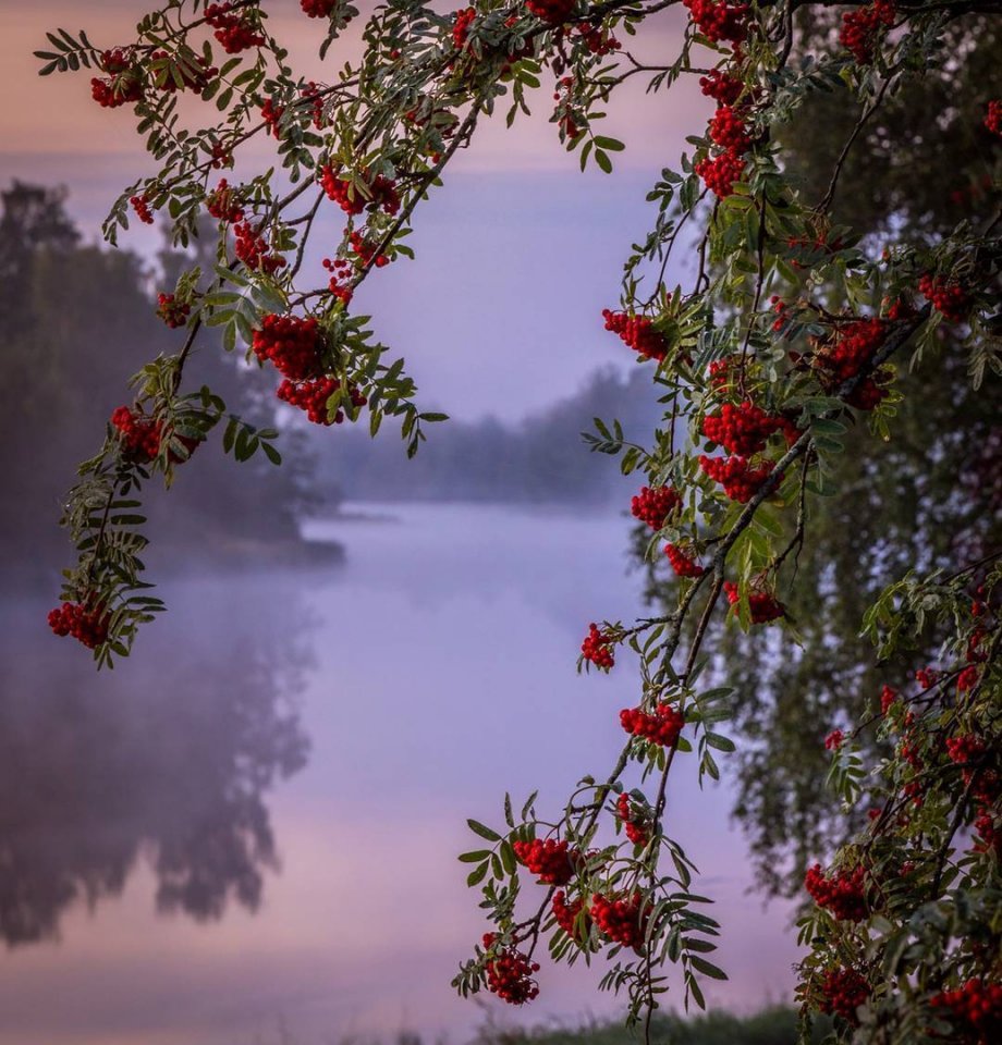 Тишина и умиротворение Финляндии 