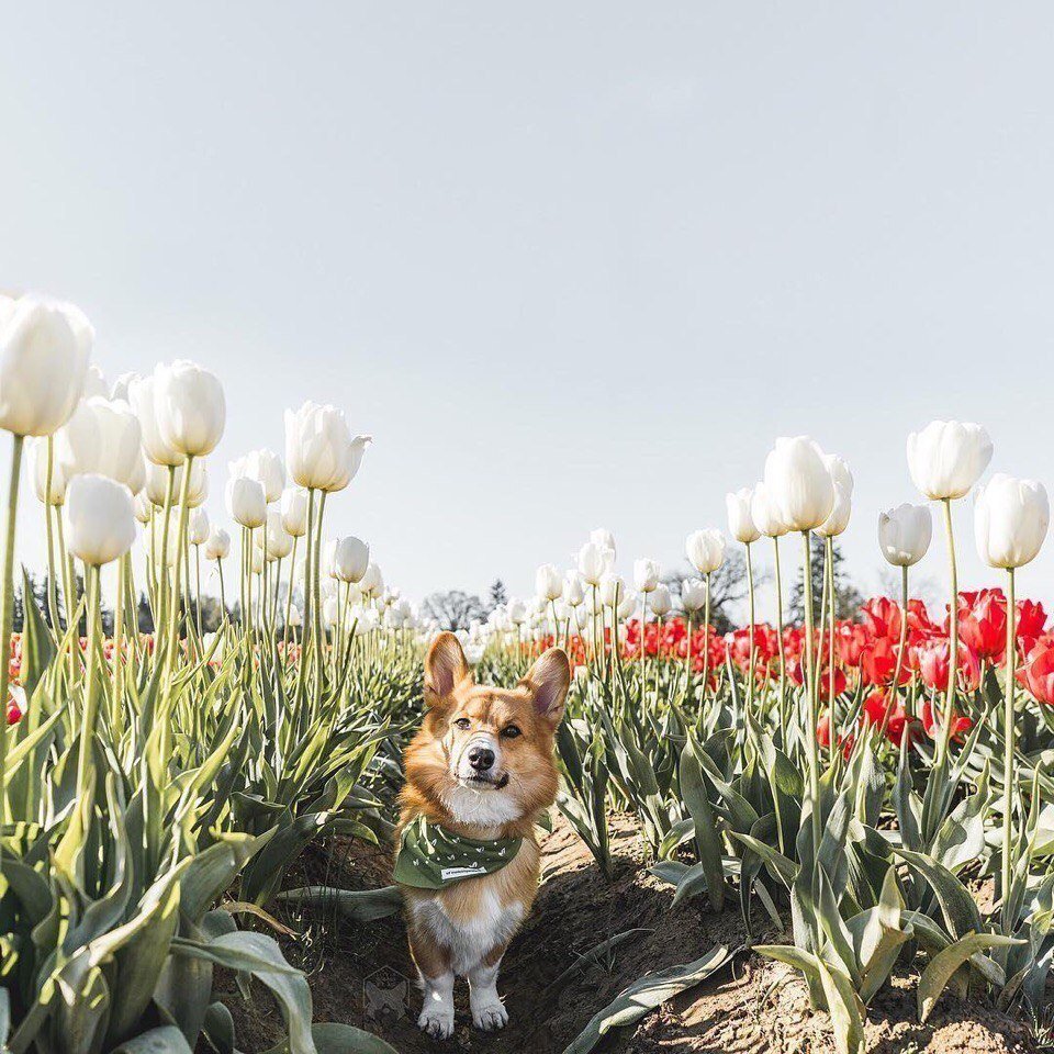 Мир принадлежит тому, кто ему рад! - 1