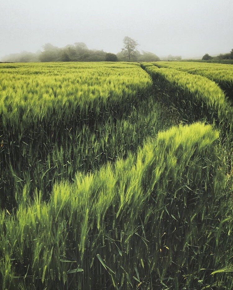 Всё будет хорошо, потому что плохо уже надоело.