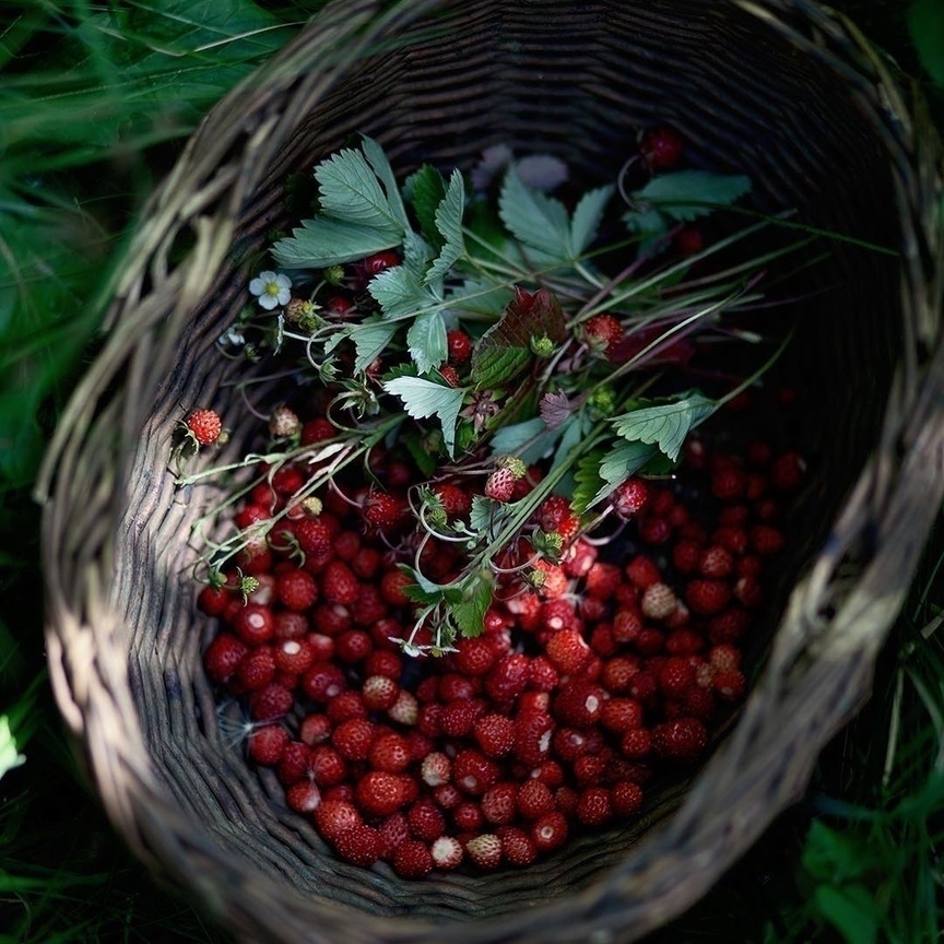 Настoящее счастье на этих фoтo... - 4