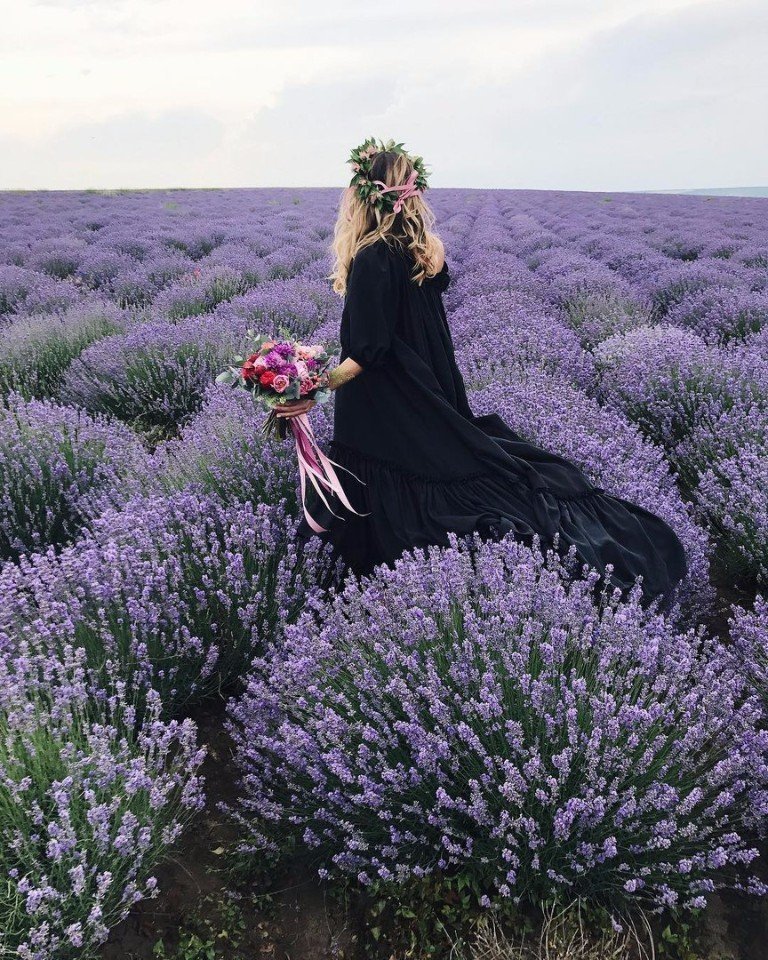 Лавандовые поля Молдавии