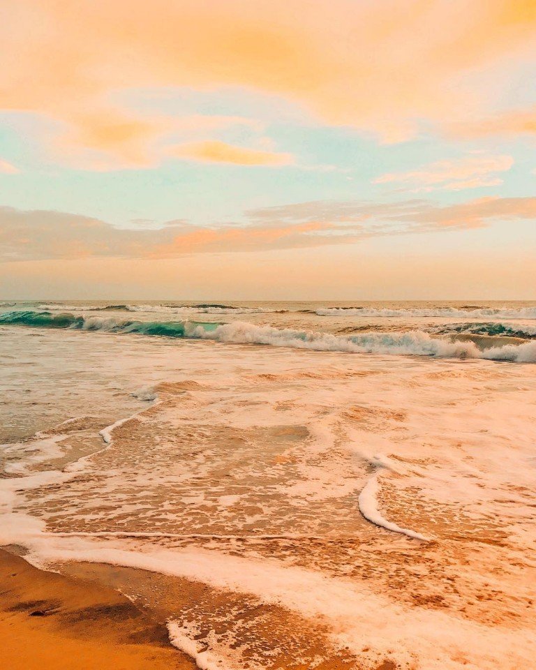 Оттенки калифорнийского лета - 6