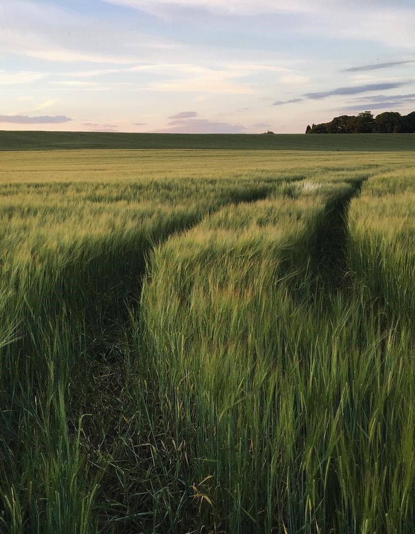 Всё будет хорошо, потому что плохо уже надоело. - 8