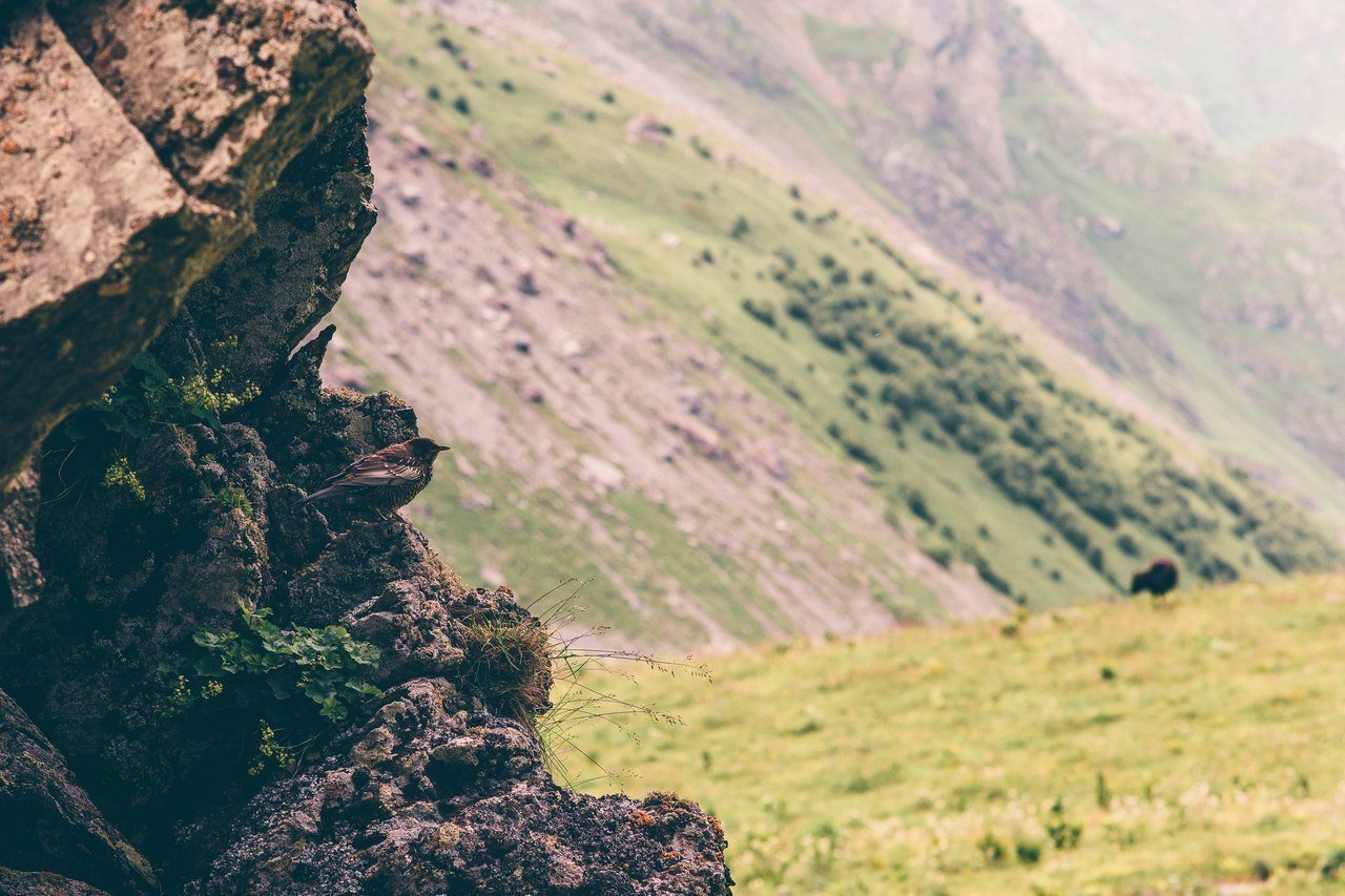 Невероятная природа Архыза, Карачаево-Черкесия - 1