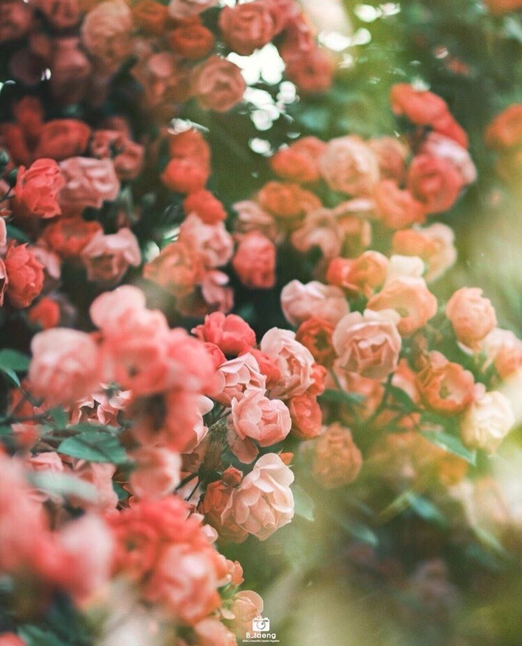 Счастье не может быть громким.
Оно тихое. Уютное. Родное.