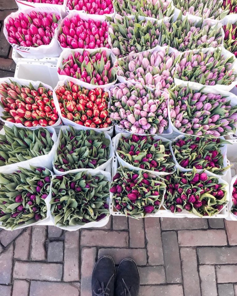 Не хватает слов, чтобы описать всё великолепие Нидерландов  - 5