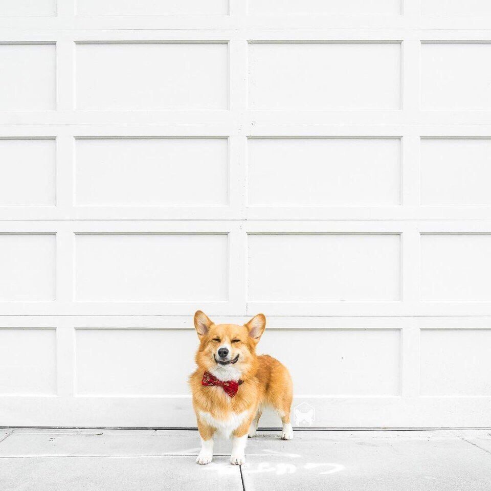 Мир принадлежит тому, кто ему рад! - 3