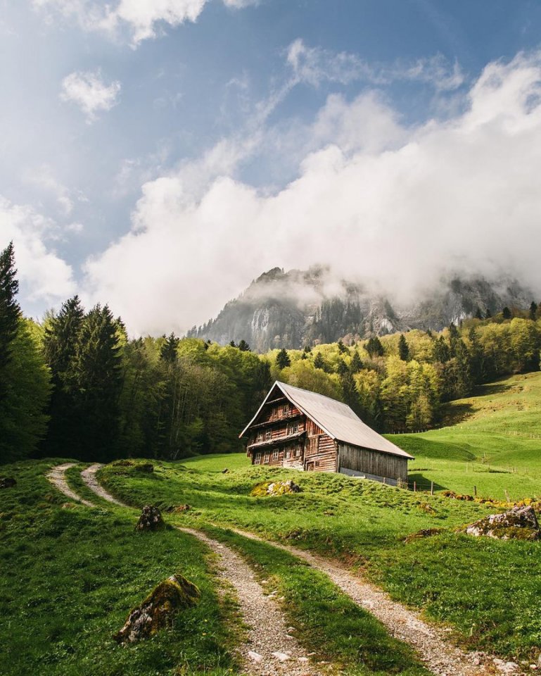 Мечтайте. 

Забудьте всё то, что вам наговорили, и мечтайте.