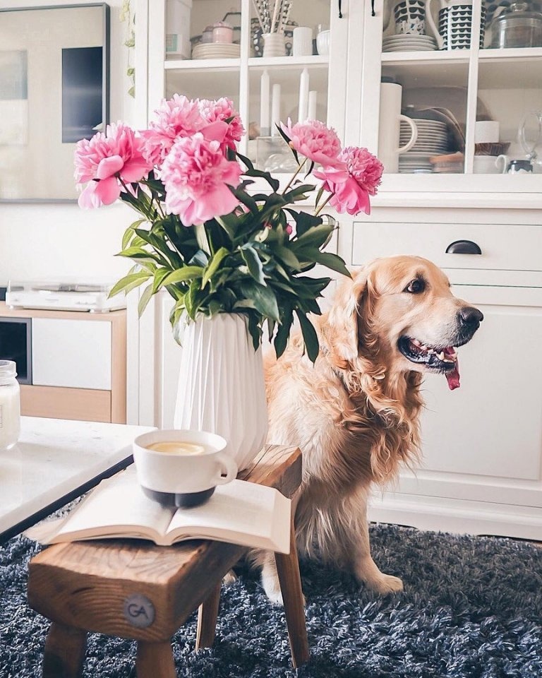 Пусть то, что сегодня было мечтой, завтра станет частью жизни. - 4