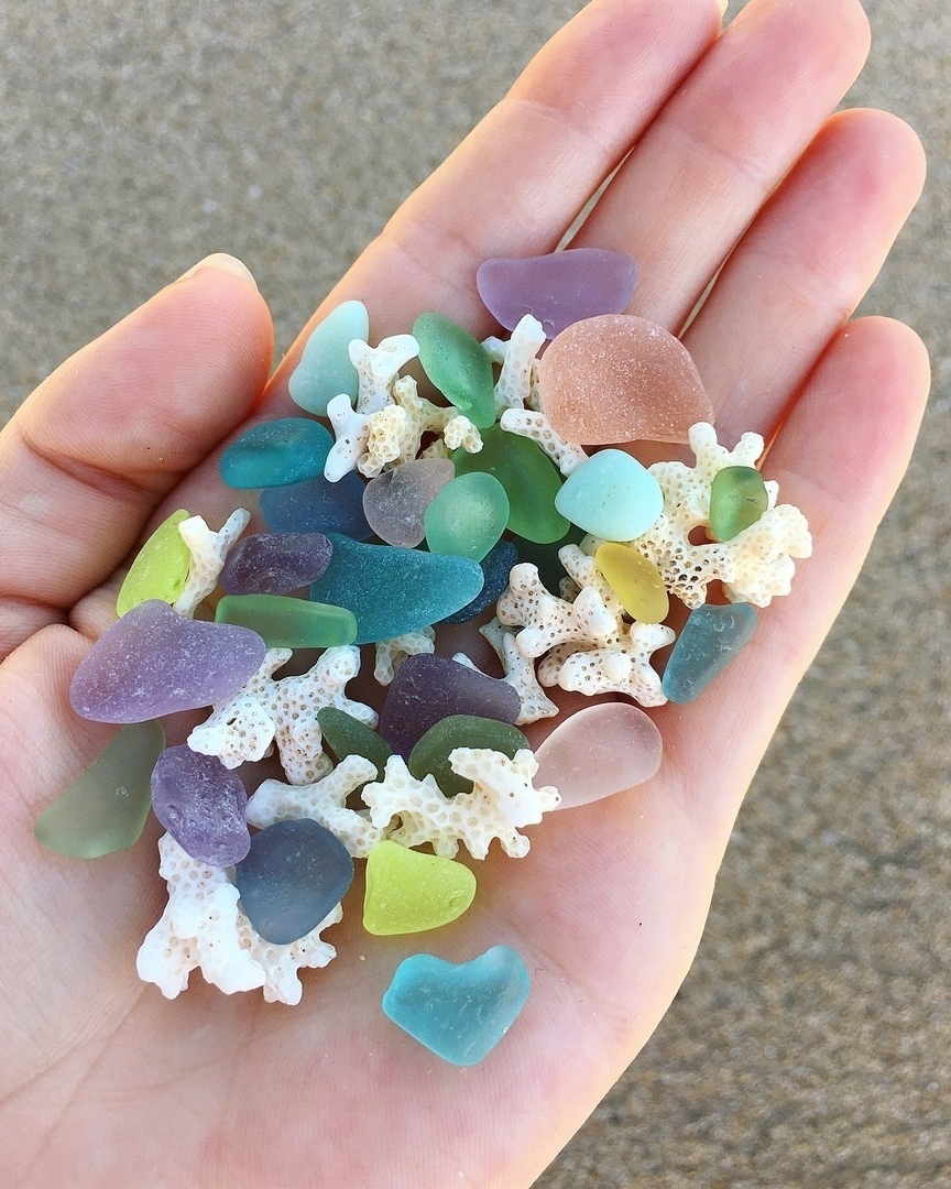 Сокровища моря