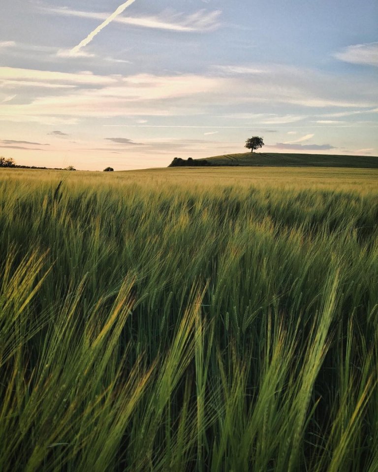 — Туда, где нет городской суеты.