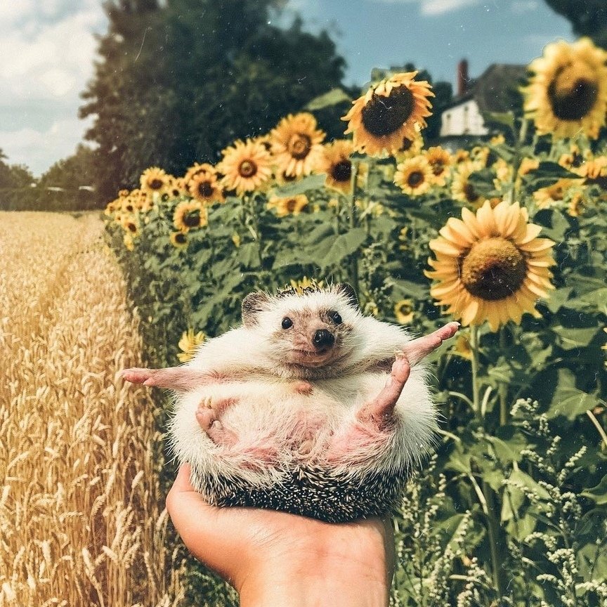 Мир принадлежит тому, кто ему рад. - 6