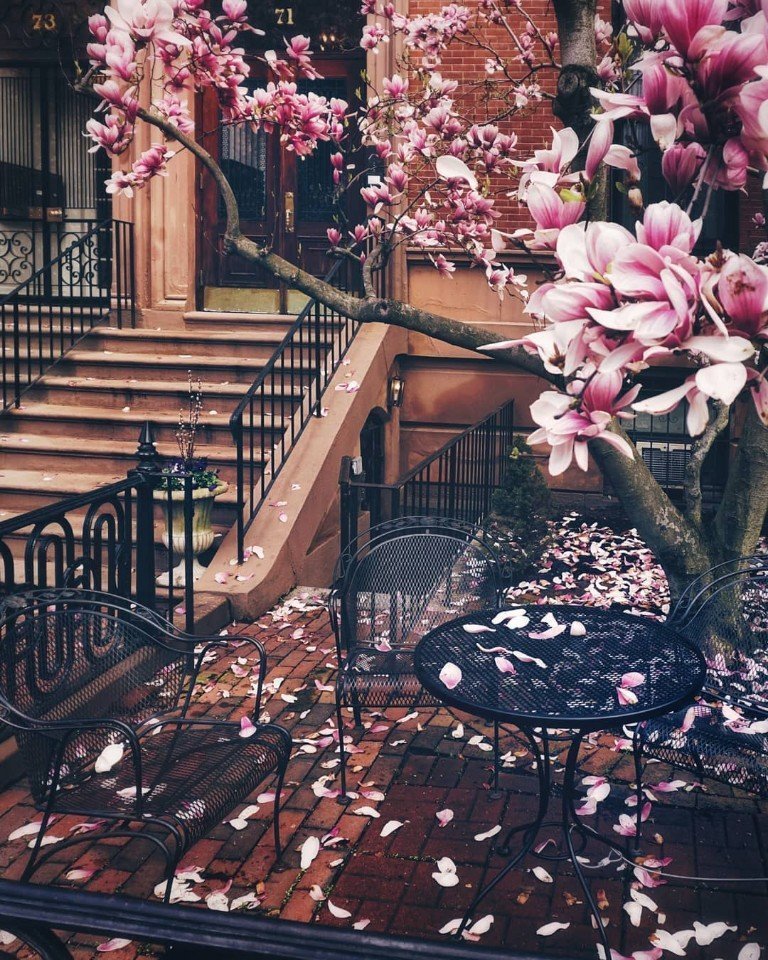 Уютные улицы Бостона, США - 7