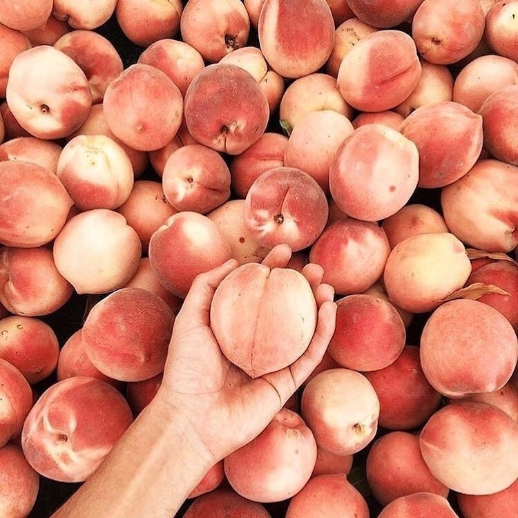 Сочные дары лета