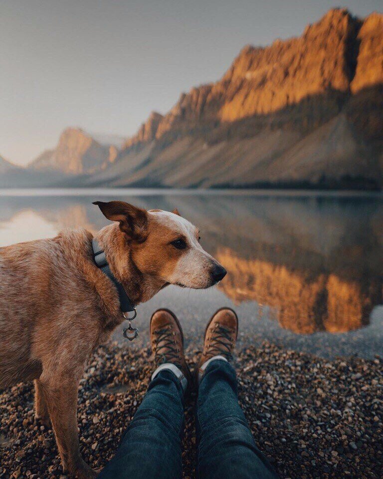 Канада хороша, и всё тут!
