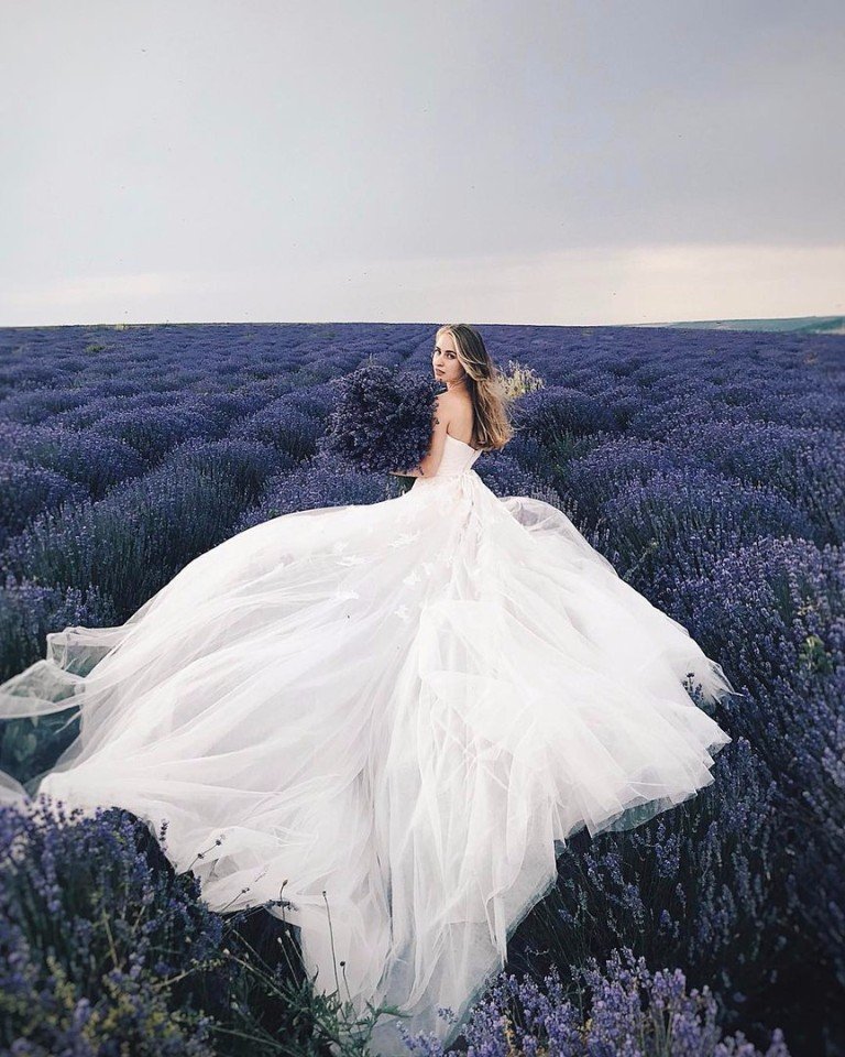 Лавандовые поля Молдавии - 3