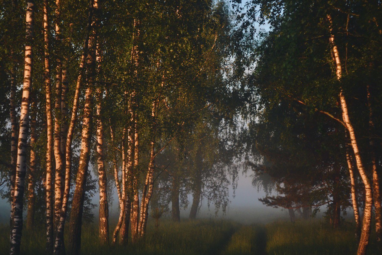Умиротворение родных просторов... Владимирская область, Россия